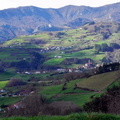 Sidrería (212)